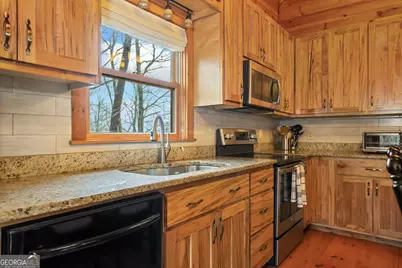 541 Little Bushy Head Road #271, Cherrylog, GA 30522 - Photo 10