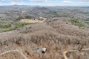 541 Little Bushy Head Rd, Cherrylog, GA 30522 - Photo 40