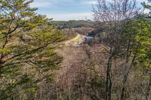 220 McConnell Ct, Helen, GA 30545 - Photo 36