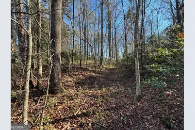 0 W Kytle Street, Cleveland, GA 30528 - Photo 10