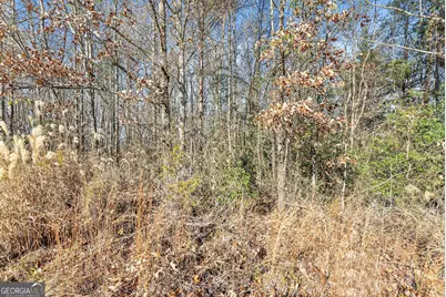 0 W Kytle Street, Cleveland, GA 30528 - Photo 28