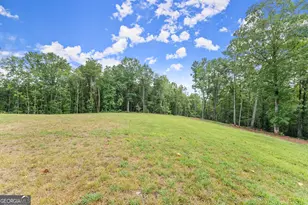 147 Jess Hunt W 60+ Acres Rd, Cleveland, GA 30528 - Photo 52