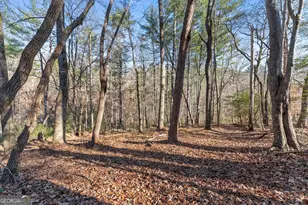 2446 Dean Mountain Rd, Cleveland, GA 30528 - Photo 40