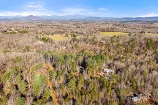 2446 Dean Mountain Rd, Cleveland, GA 30528 - Photo 50