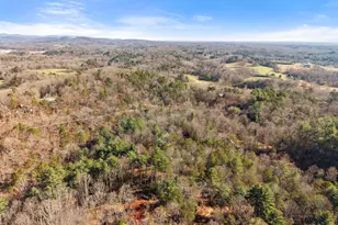 2446 Dean Mountain Rd, Cleveland, GA 30528 - Photo 48