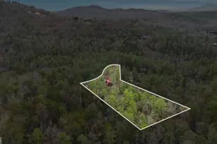 801 Sillycook Trail, Clarkesville, GA 30523 - Photo 44