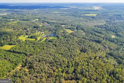 624 Wantland Road, Fort Valley, GA 31030 - Photo 24