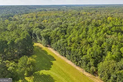 624 Wantland Road, Fort Valley, GA 31030 - Photo 44