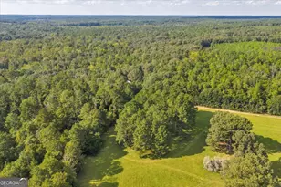 624 Wantland Rd, Fort Valley, GA 31030 - Photo 22