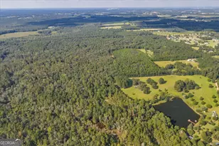 624 Wantland Rd, Fort Valley, GA 31030 - Photo 28