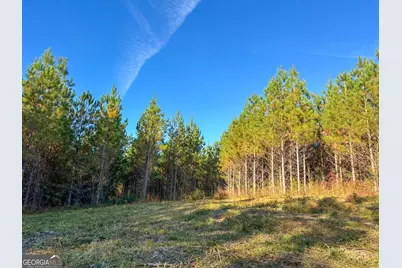 0 Jordon Road, Waverly Hall, GA 31831 - Photo 20