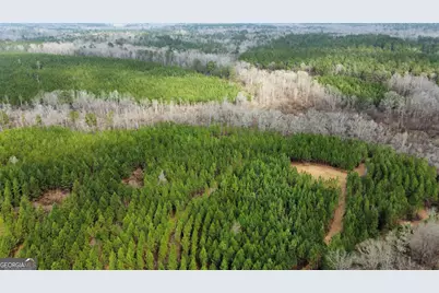 0 Jordon Road, Waverly Hall, GA 31831 - Photo 12