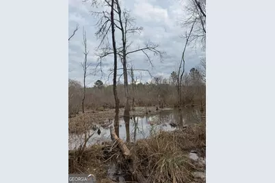 0 Jordon Road, Waverly Hall, GA 31831 - Photo 6