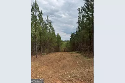 0 Jordon Road, Waverly Hall, GA 31831 - Photo 10