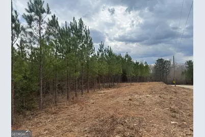 0 Jordon Road, Waverly Hall, GA 31831 - Photo 16