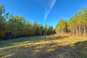 0 Jordon Rd, Waverly Hall, GA 31831 - Photo 1