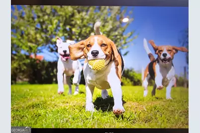 615 Parnassus Road, Locust Grove, GA 30248 - Photo 10