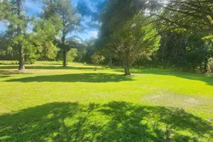 13254 Lake Church Rd, Metter, GA 30439 - Photo 6