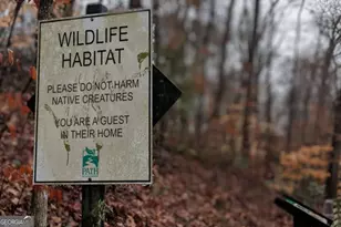 2209 Willivee Pl, Decatur, GA 30033 - Photo 32