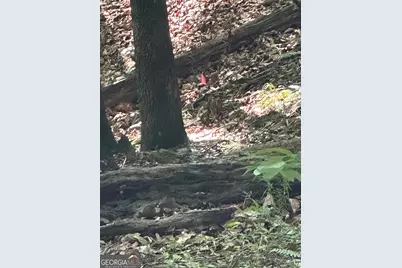 1225-1227 Oglethorpe Road, Jasper, GA 30143 - Photo 26