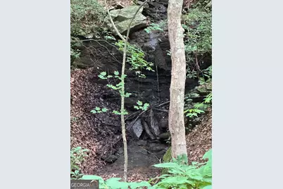 1225-1227 Oglethorpe Road, Jasper, GA 30143 - Photo 28