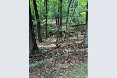 1225-1227 Oglethorpe Road, Jasper, GA 30143 - Photo 16