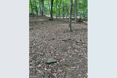 1225-1227 Oglethorpe Road, Jasper, GA 30143 - Photo 22