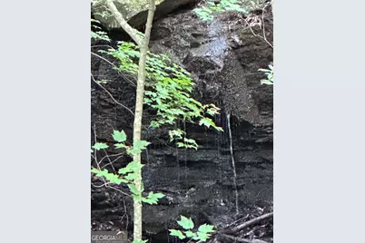 1225-1227 Oglethorpe Road, Jasper, GA 30143 - Photo 1