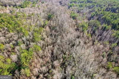 0 Wrens Highway, Thomson, GA 30824 - Photo 14