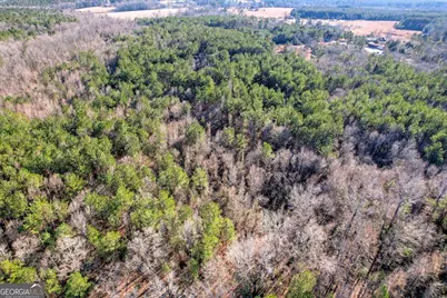 0 Wrens Highway, Thomson, GA 30824 - Photo 16