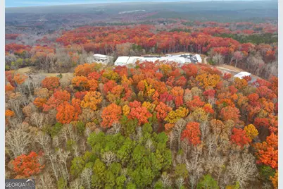 0 Hogan Pond Road, Ball Ground, GA 30107 - Photo 2