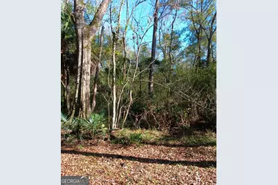 1962 Butler Johnson Road, White Oak, GA 31568 - Photo 6