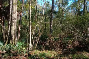 1962 Butler Johnson Rd, White Oak, GA 31568 - Photo 6