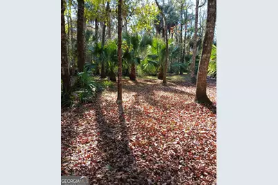 1962 Butler Johnson Road, White Oak, GA 31568 - Photo 18