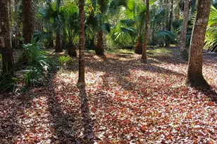 1962 Butler Johnson Rd, White Oak, GA 31568 - Photo 18