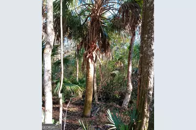 1962 Butler Johnson Road, White Oak, GA 31568 - Photo 20