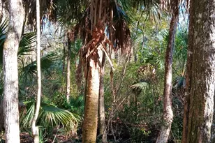 1962 Butler Johnson Rd, White Oak, GA 31568 - Photo 20