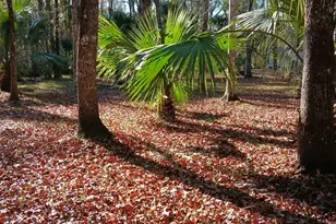 1962 Butler Johnson Rd, White Oak, GA 31568 - Photo 8