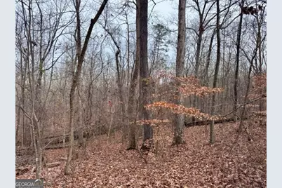 4260 Joe Chandler Road, Gillsville, GA 30543 - Photo 4