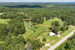 6215 Ga Hwy 34, Franklin, GA 30217 - Photo 84