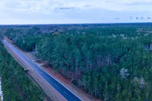 4421 Albert Rahn Rd, Glennville, GA 30427 - Photo 18