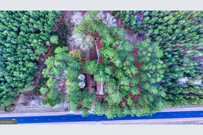 4421 Albert Rahn Road, Glennville, GA 30427 - Photo 24