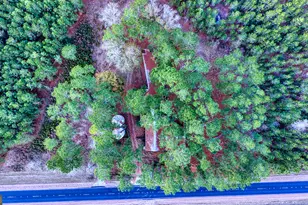 4421 Albert Rahn Rd, Glennville, GA 30427 - Photo 24