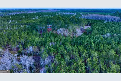 4421 Albert Rahn Road, Glennville, GA 30427 - Photo 20