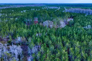 4421 Albert Rahn Rd, Glennville, GA 30427 - Photo 20