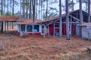 4421 Albert Rahn Rd, Glennville, GA 30427 - Photo 26