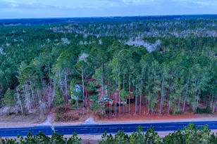 4421 Albert Rahn Rd, Glennville, GA 30427 - Photo 22