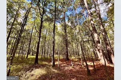 0 Eugene Ward Road, Adrian, GA 31002 - Photo 22