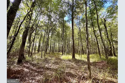 0 Eugene Ward Road, Adrian, GA 31002 - Photo 16