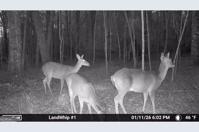 0 Eugene Ward Road, Adrian, GA 31002 - Photo 26